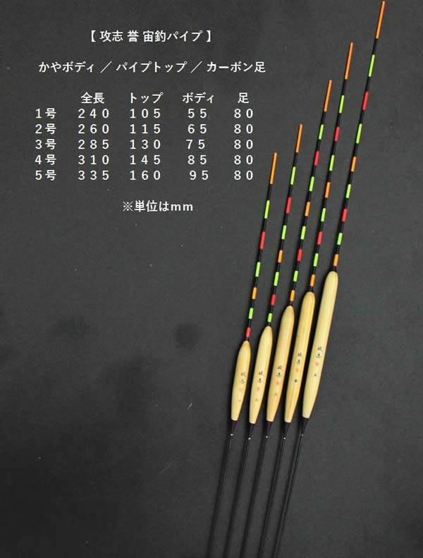 ダイシン 天河 10尺 ロッド - ロッド